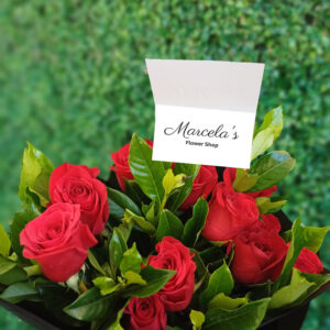 Docena de rosas rojas